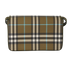 Check Hampshire, back view
